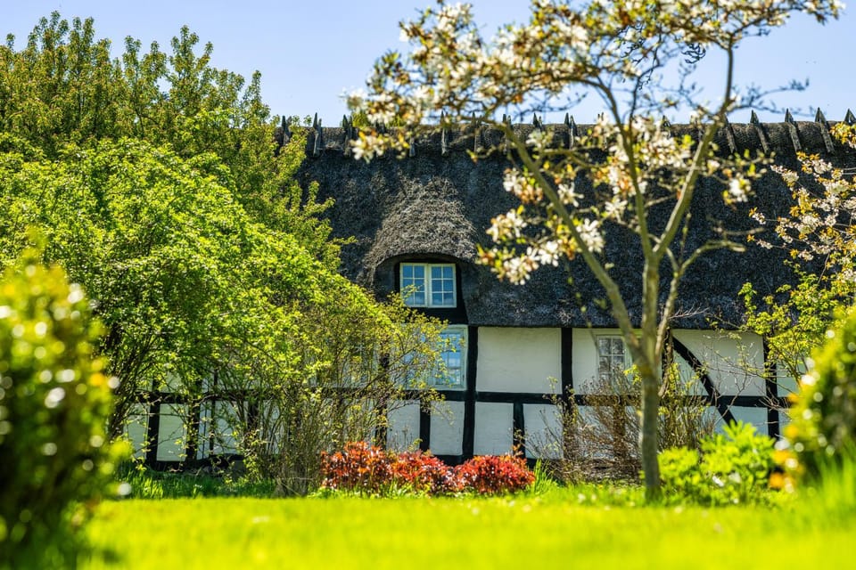Property building, Garden