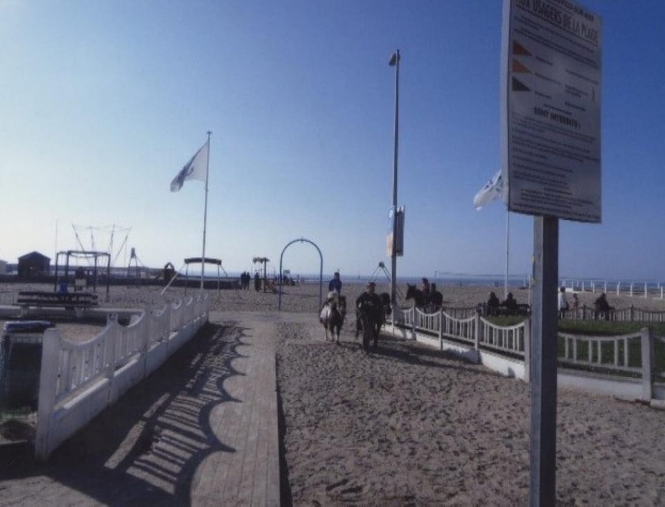 Beach, Area and facilities