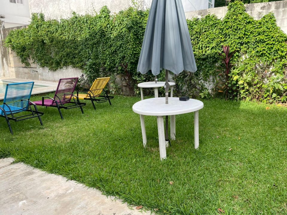 Patio, Spring, Day, Garden, Garden view, sunbed