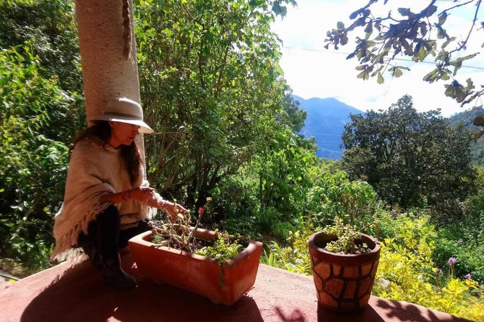Day, Natural landscape, Garden, Mountain view