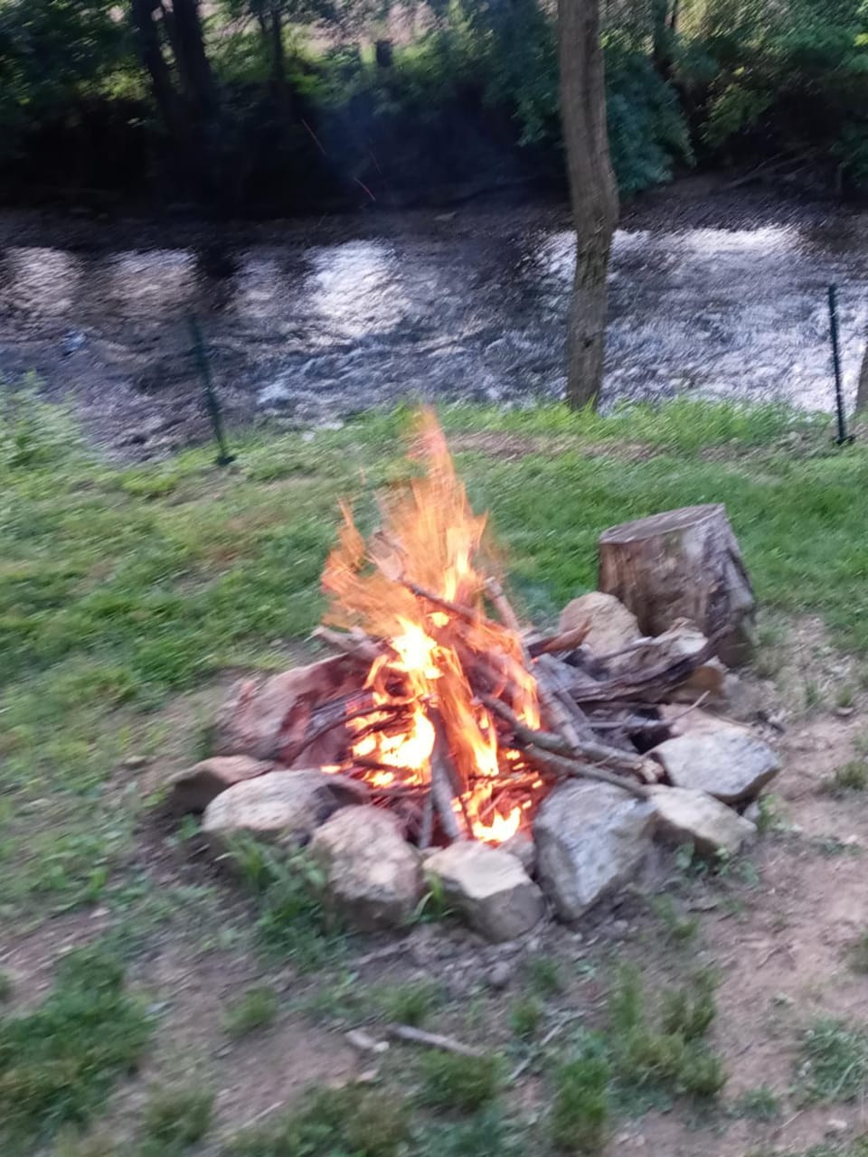 Tranquil Creekside Mountain View Getaway Vacation rental in Lake Junaluska