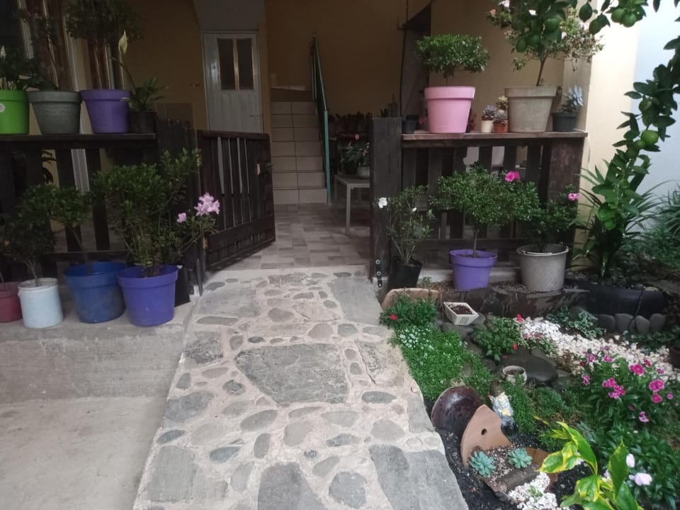 La casa de las flores Apartment in State of Puebla