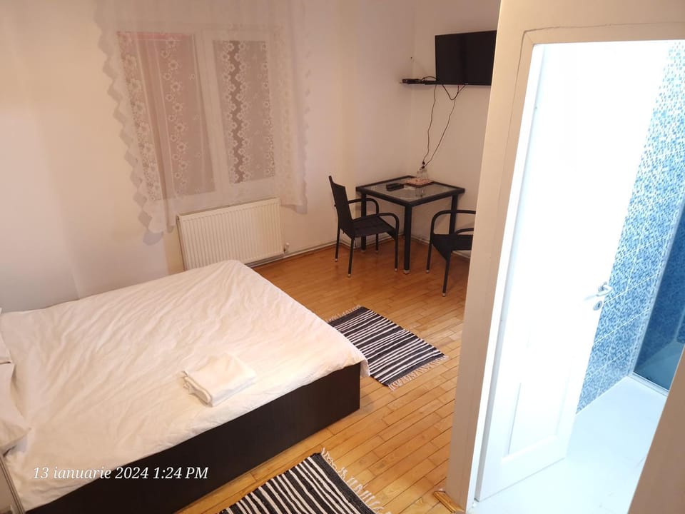 Casa Flavius Bed and Breakfast in Timiș County