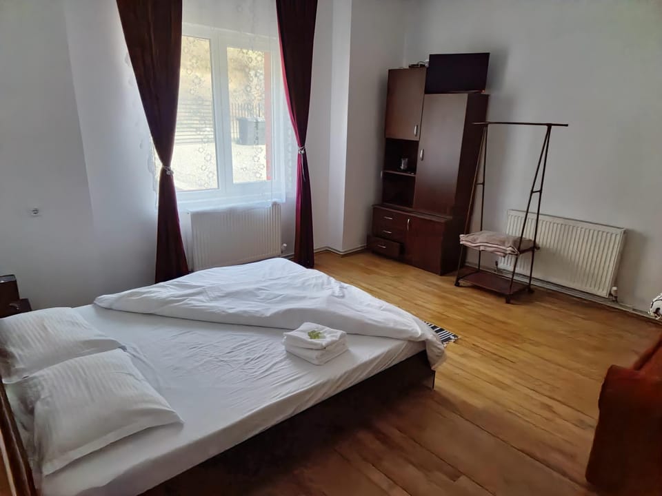 Casa Flavius Bed and Breakfast in Timiș County