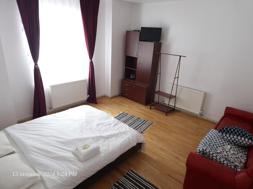 Casa Flavius Bed and Breakfast in Timiș County