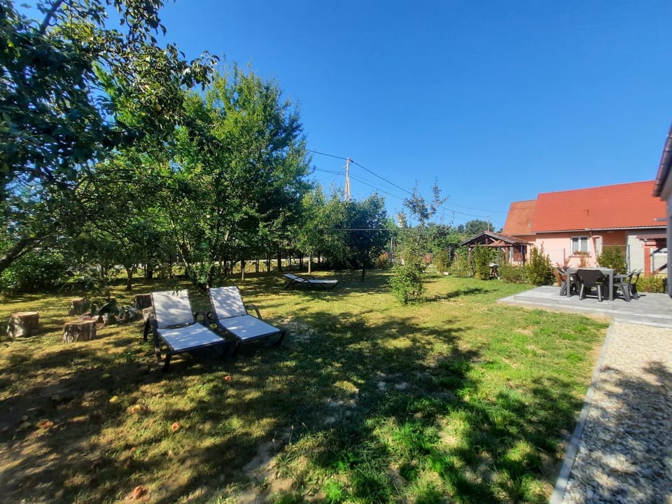 Patio, Garden