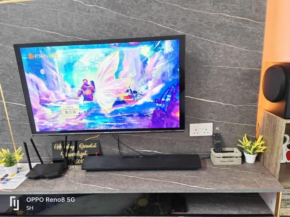 TV and multimedia