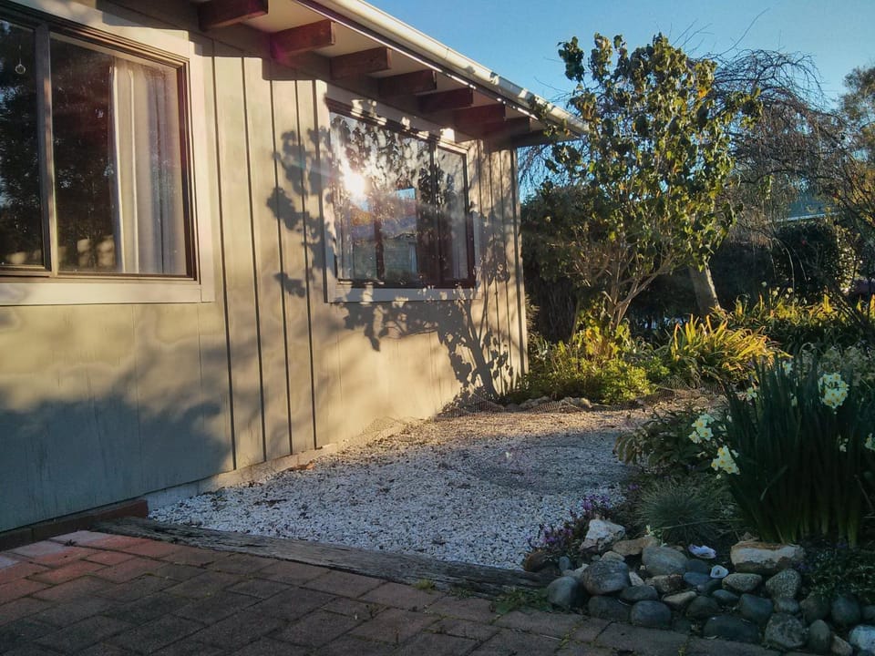 Patio, Garden, Garden view