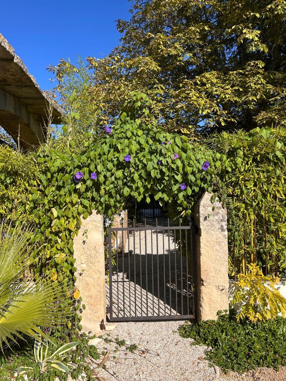 Le Mas Justin Bed and Breakfast in Gordes