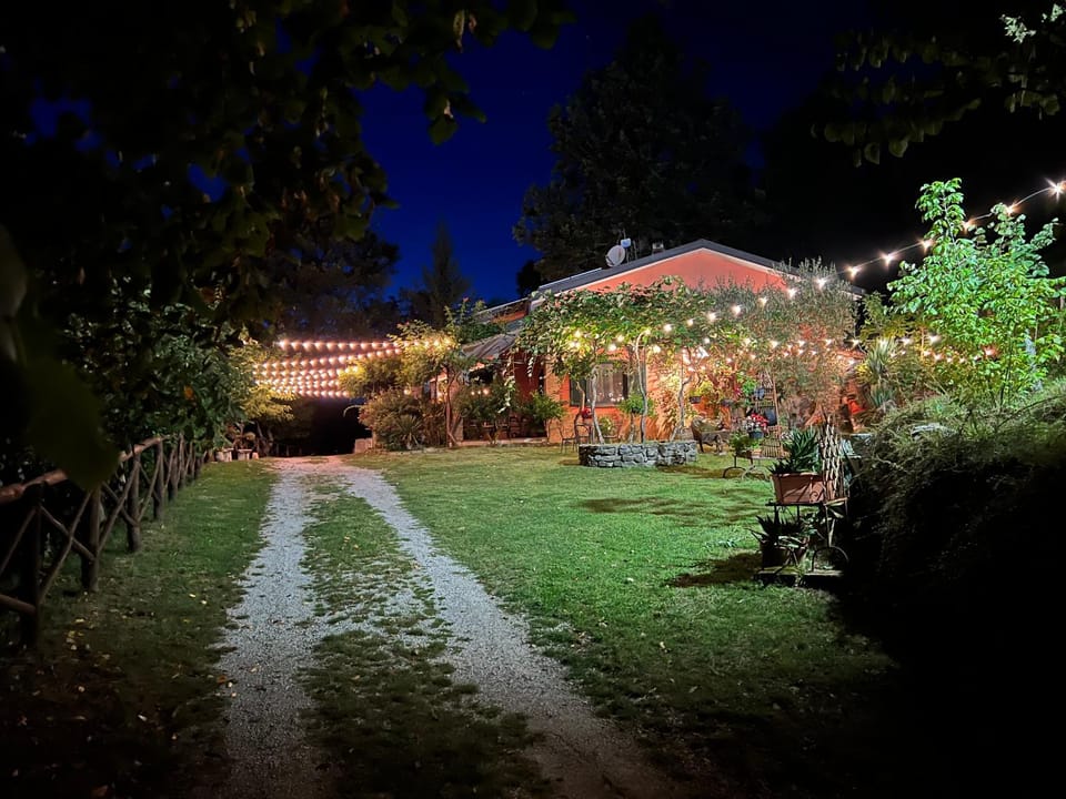 Night, Natural landscape, Garden, Garden view