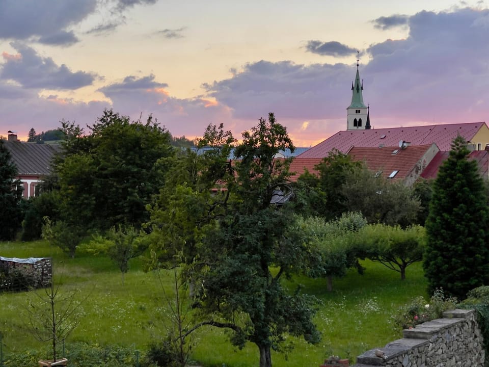 Garden view