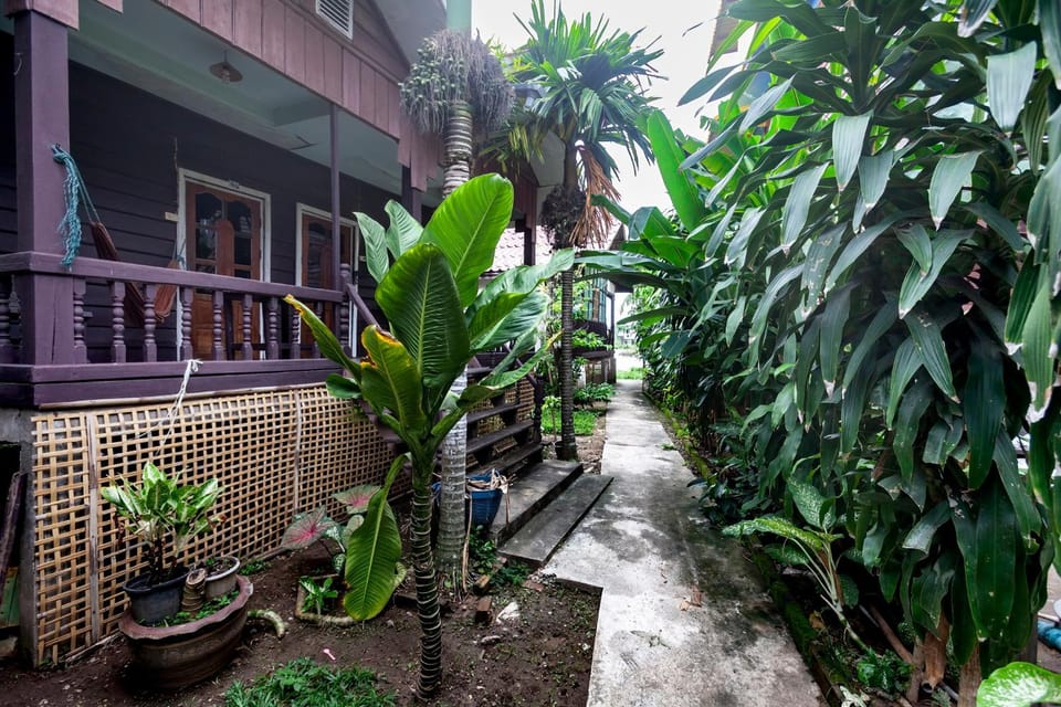 Property building, Garden view