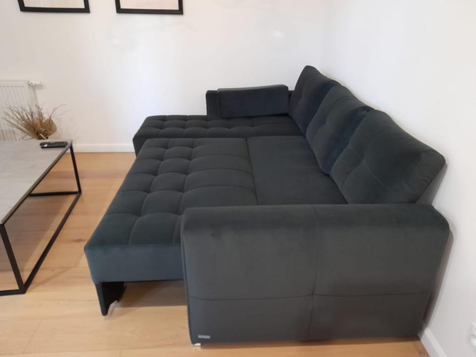 Apartament Relaks Gąsiorowskich Apartment in Poznan