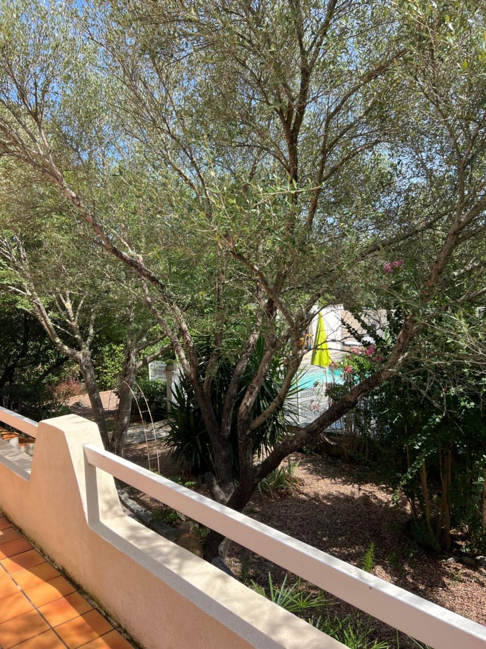 Garden view