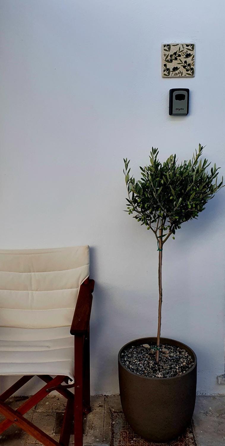 Inner courtyard view