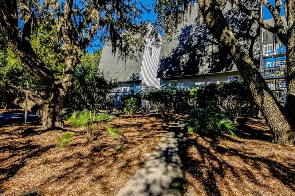 Driftwood Dream House in Edisto Beach