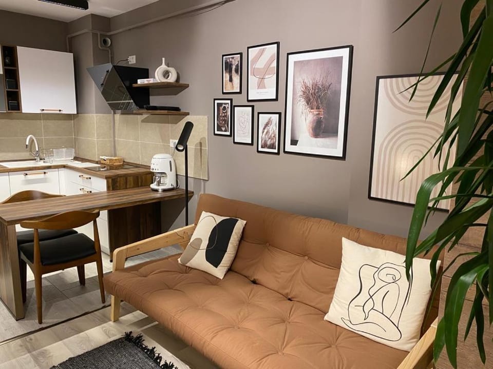 Shi Zi Junior Suite Apartment in Romania