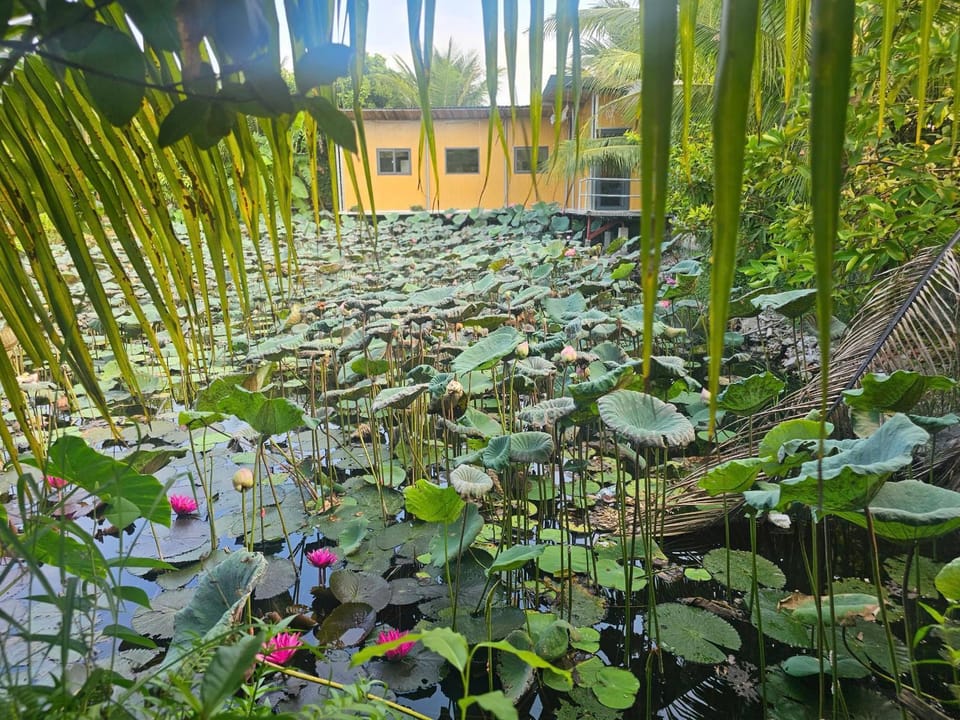 Homestay Sen & Zen Villa Vũng Tàu House in Vung Tau