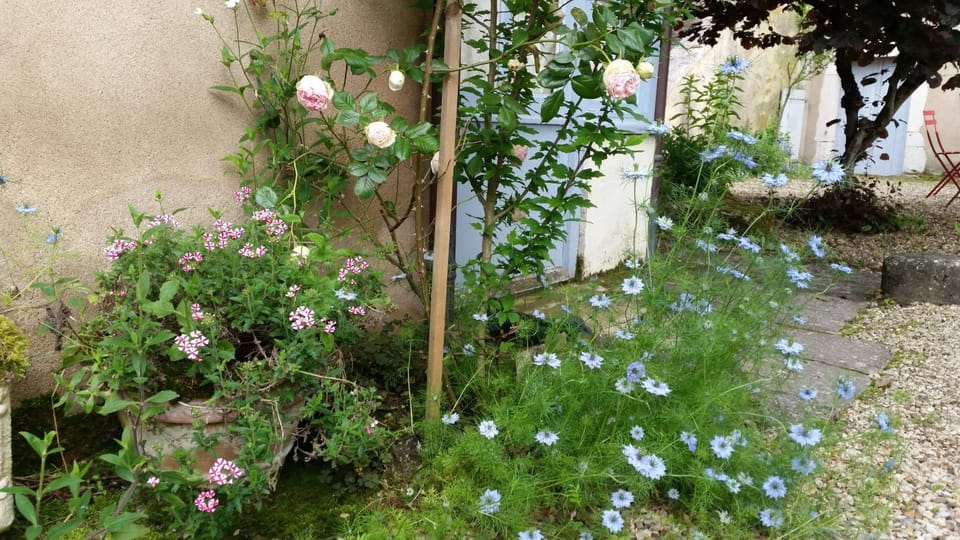 Facade/entrance, Garden