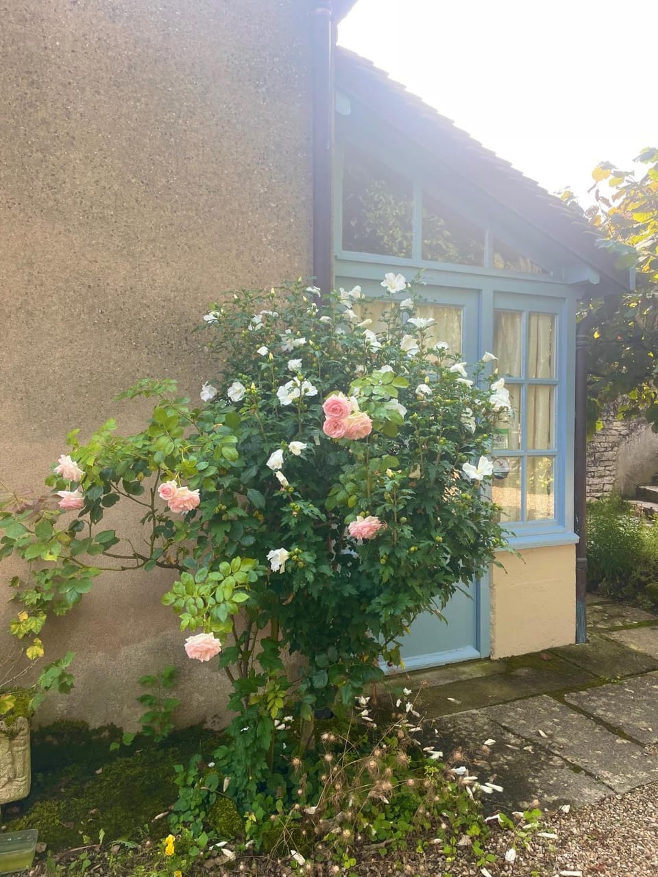 Facade/entrance, Garden