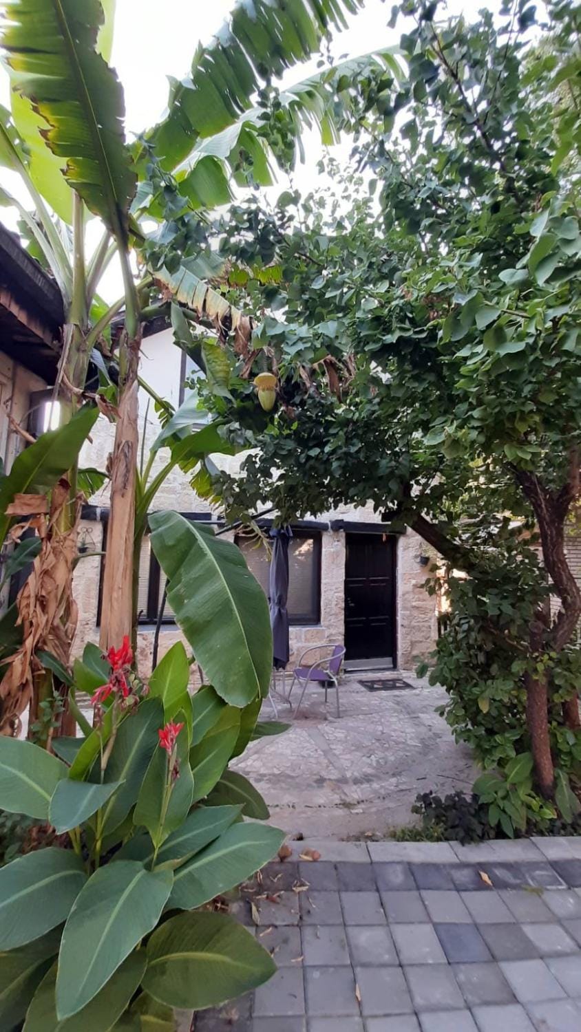 Apartman Kamen 1 Apartment in Serbia