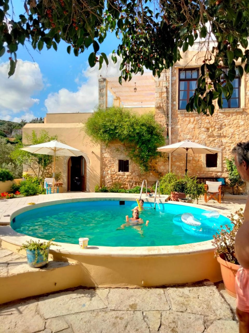 Day, Garden, Pool view, Swimming pool