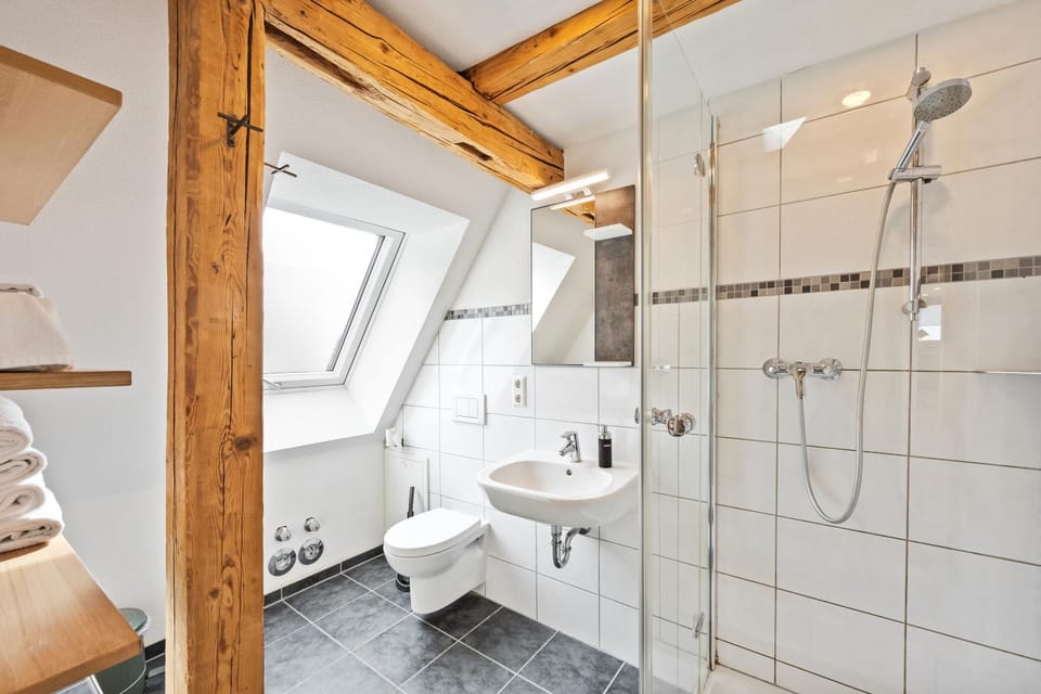 Shower, Toilet, Bathroom, towels