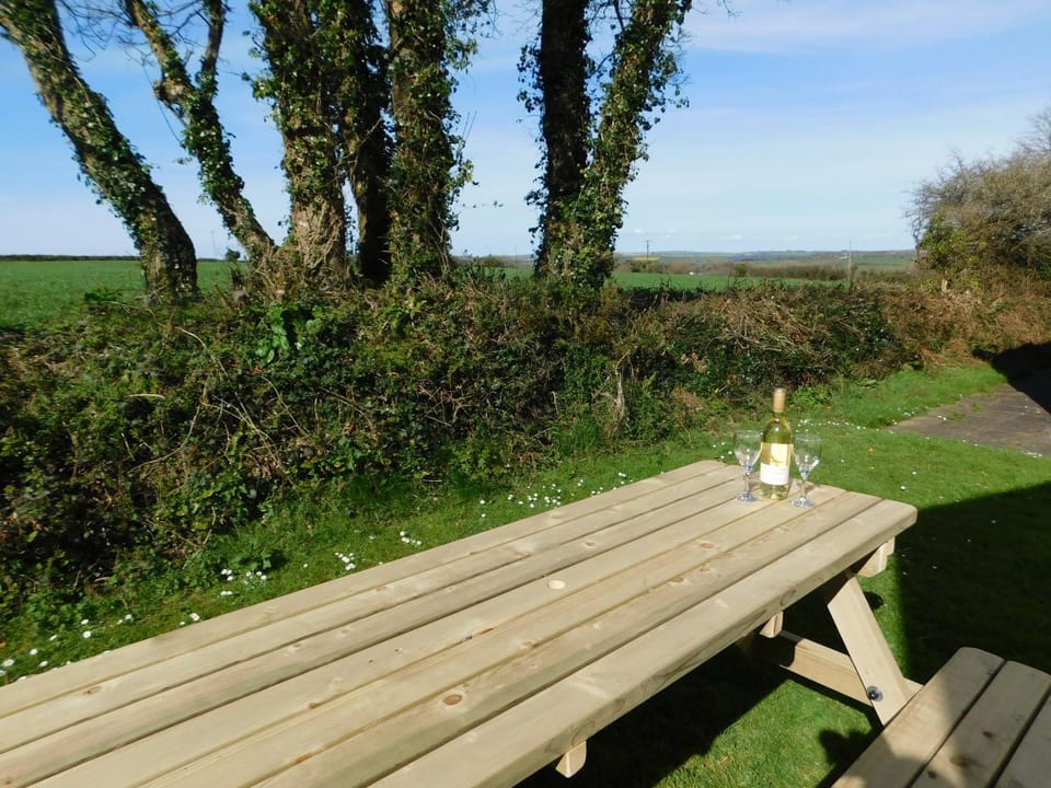 Natural landscape, Garden view