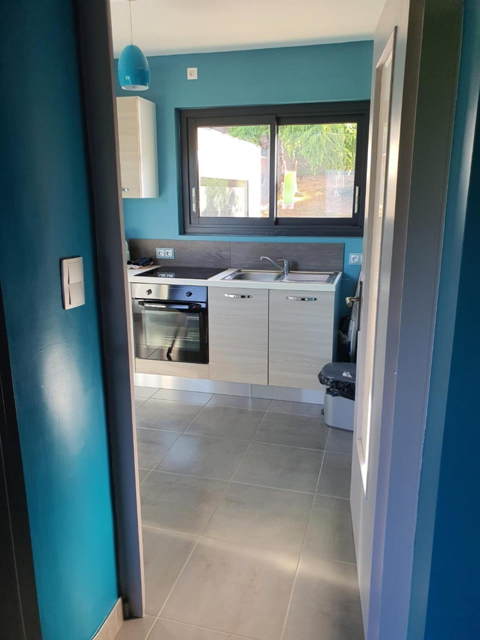Kitchen or kitchenette, minibar, pet friendly, stove