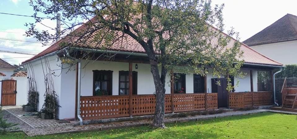 Rauber Baron Cottage-Traditional Comfort House Villa in Brașov County