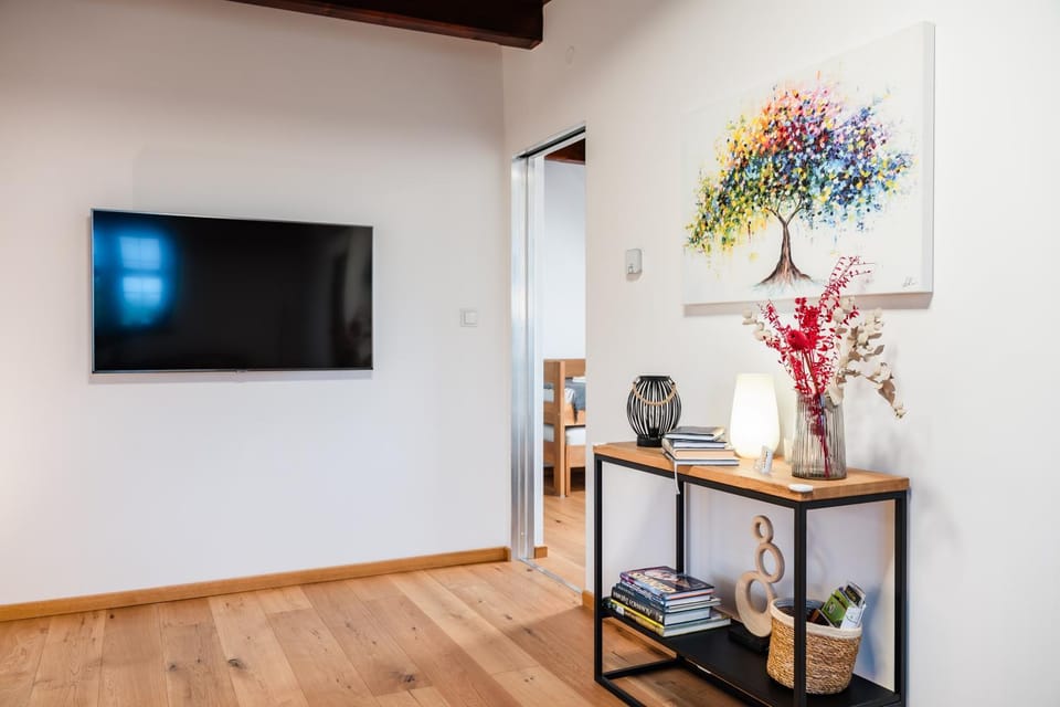 TV and multimedia