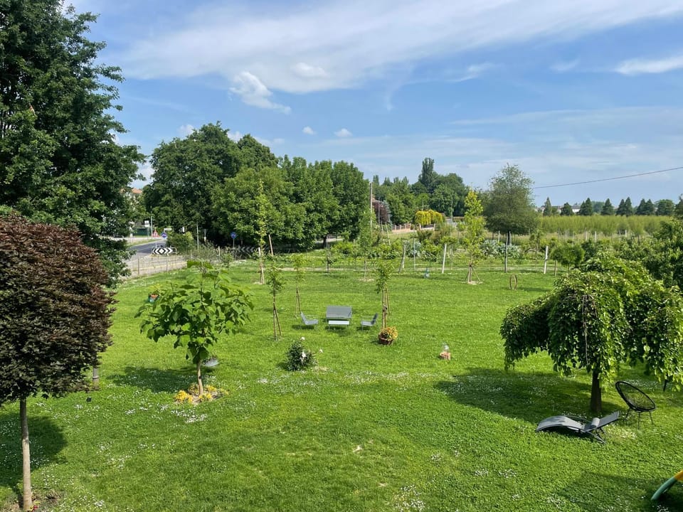 Garden, Garden view