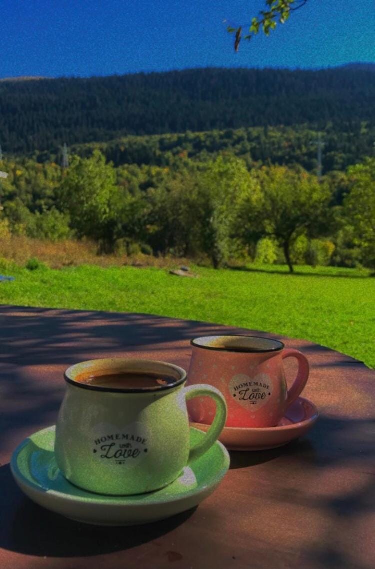 Disney Bed and Breakfast in Georgia