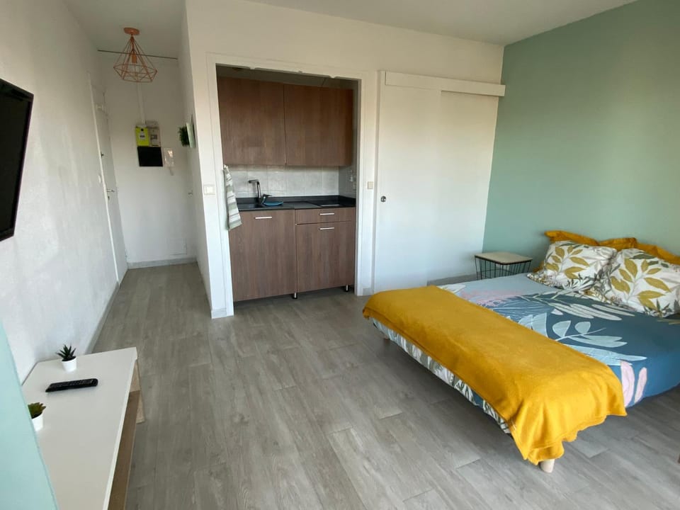 Bed, TV and multimedia, Kitchen or kitchenette, Photo of the whole room, Bedroom