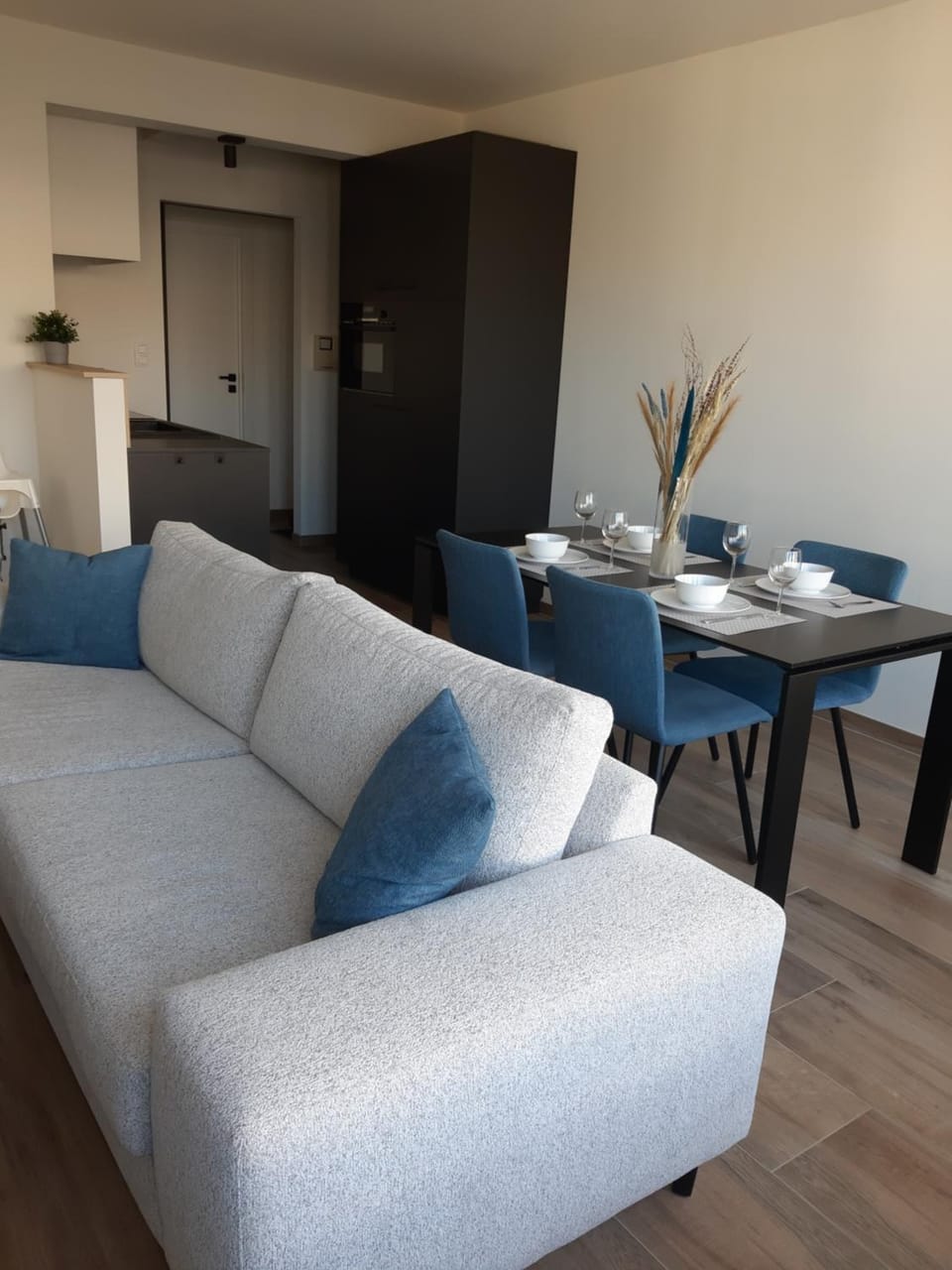 Novia - Op de zeedijk, parkeren mogelijk Apartment in Ostend