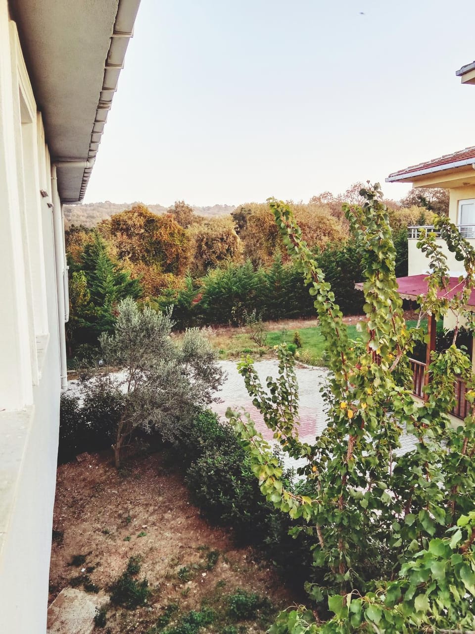 Garden, Landmark view