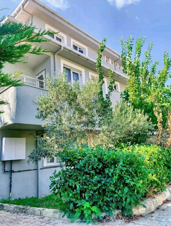 Property building, Garden, Garden, Garden view