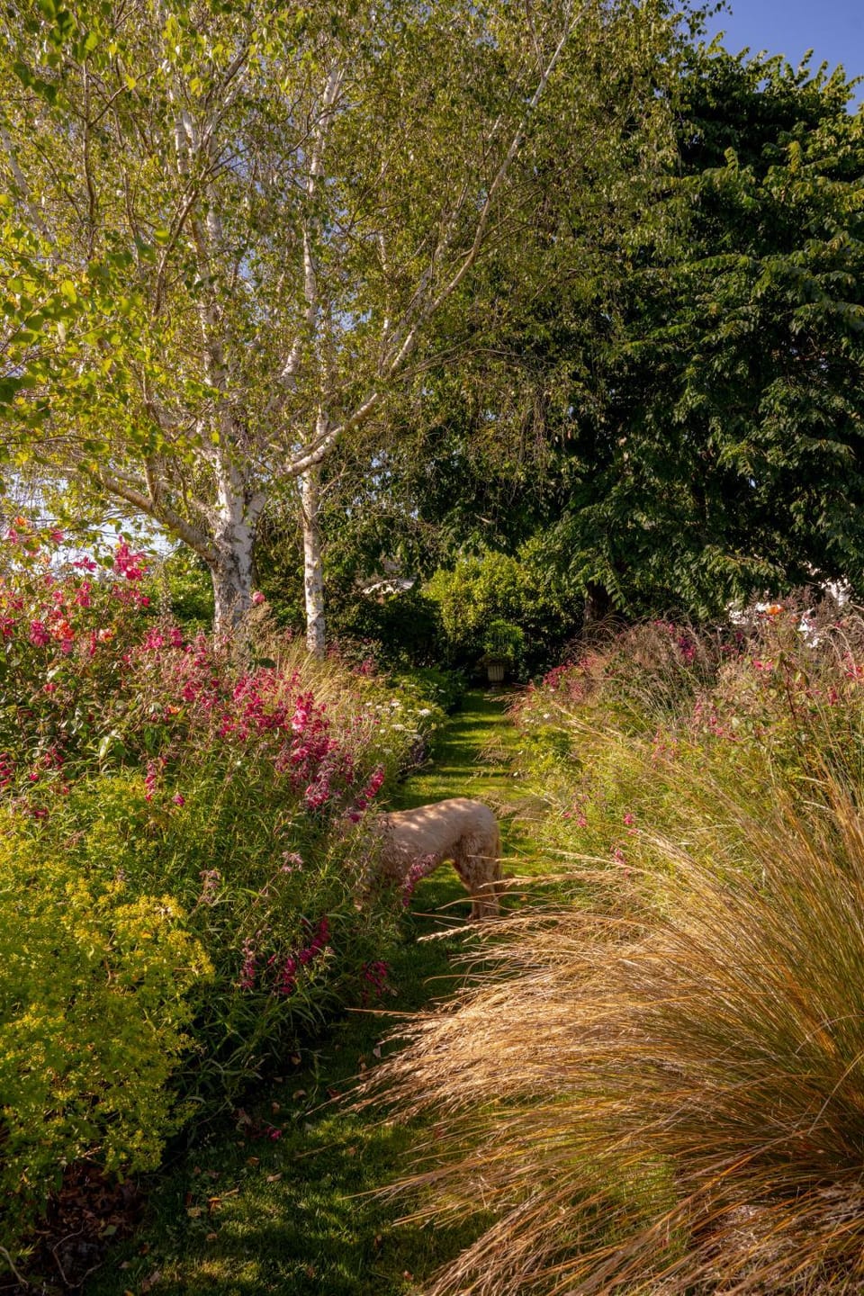 Spring, Garden, Garden view