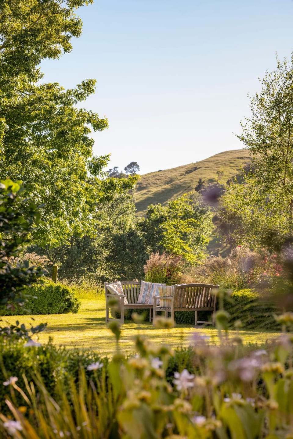 Natural landscape, Garden, Garden view, Lake view