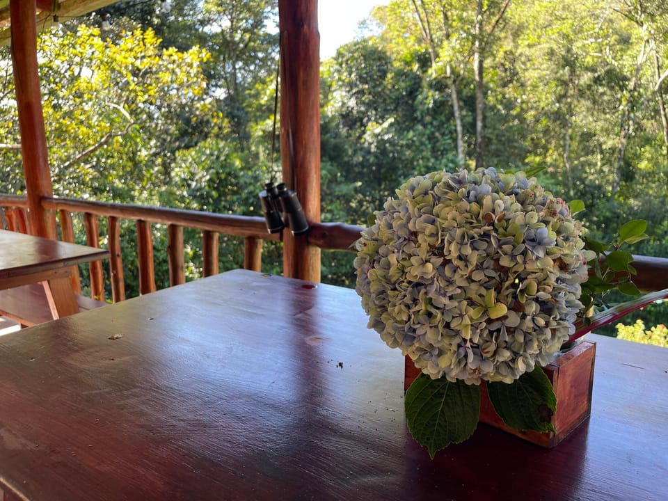 Day, View (from property/room), Balcony/Terrace, Dining area, Garden view