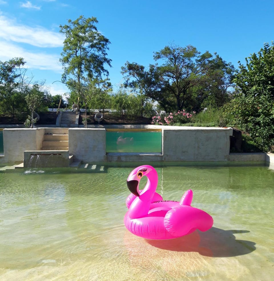 Swimming pool