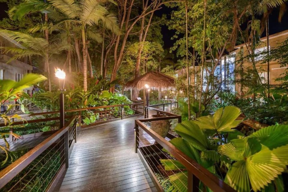 Night, Garden, Garden view