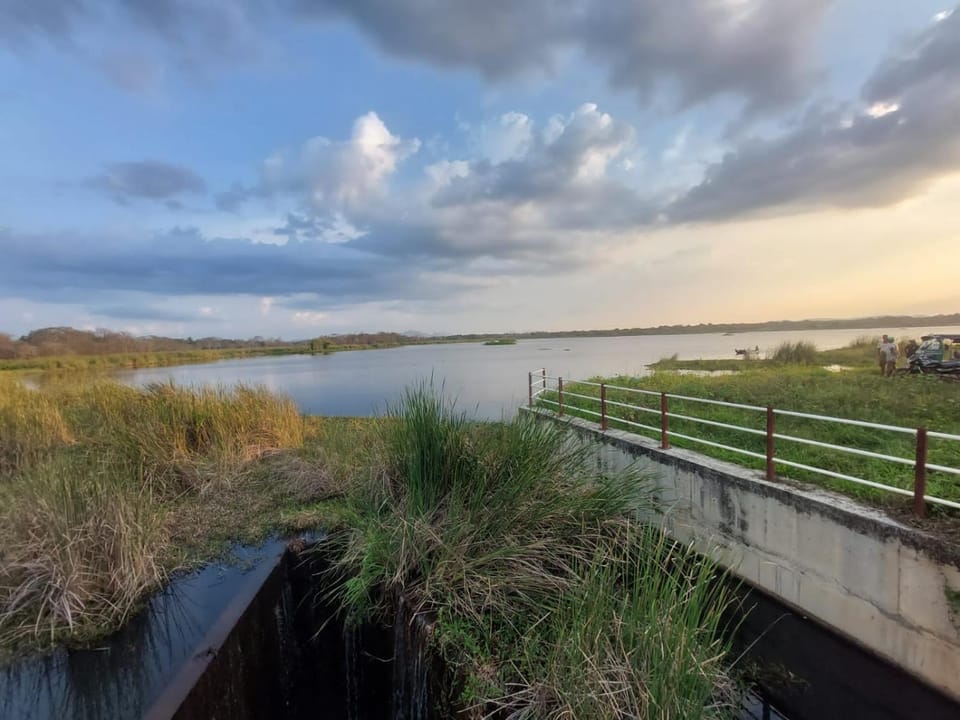 Lake view