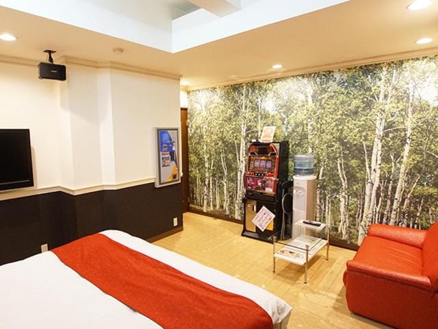 Photo of the whole room