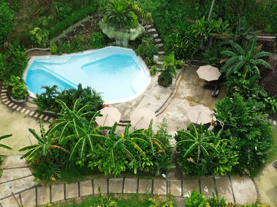 Day, Garden, Swimming pool