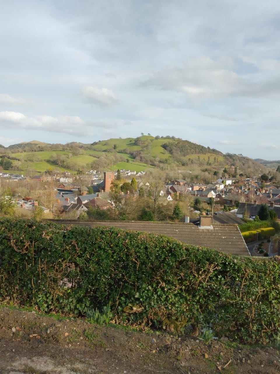 Mountain view