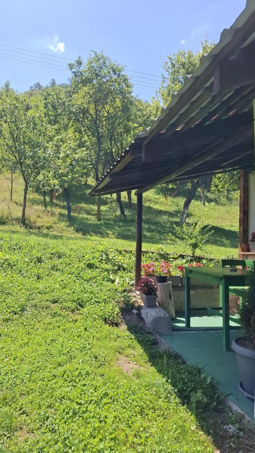 Agroturism Sesuri 151 House in Romania