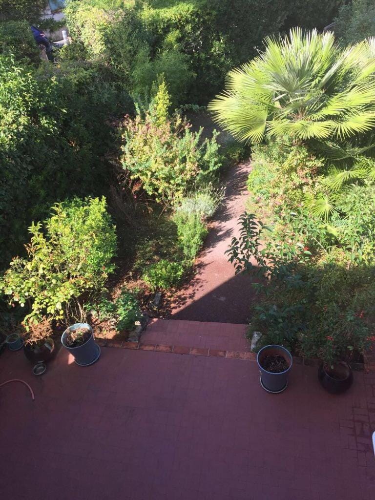 Day, Garden, Garden view