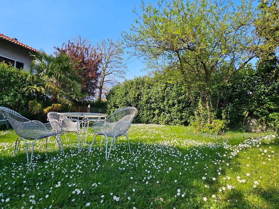 Garden, Garden, Garden view