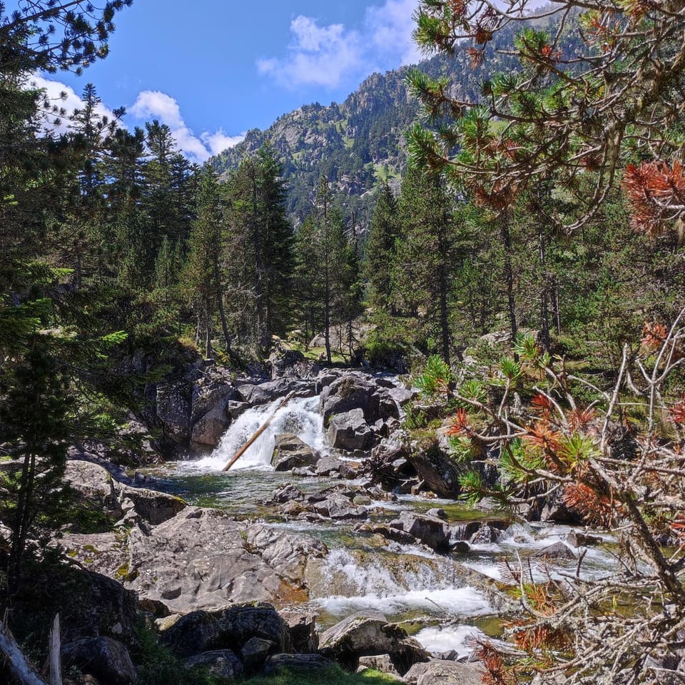 Hiking